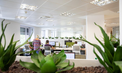 Nutrition & Santé Iberia Headquarters in Barcelone (Catalonia)