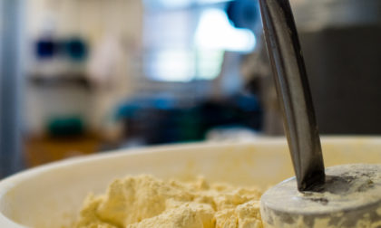 Mane production plant