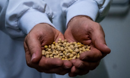 Revel 2 production plant - Processing of soybeans